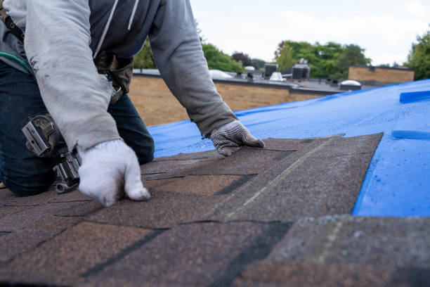 Best Roof Maintenance Services  in Garden City, MO