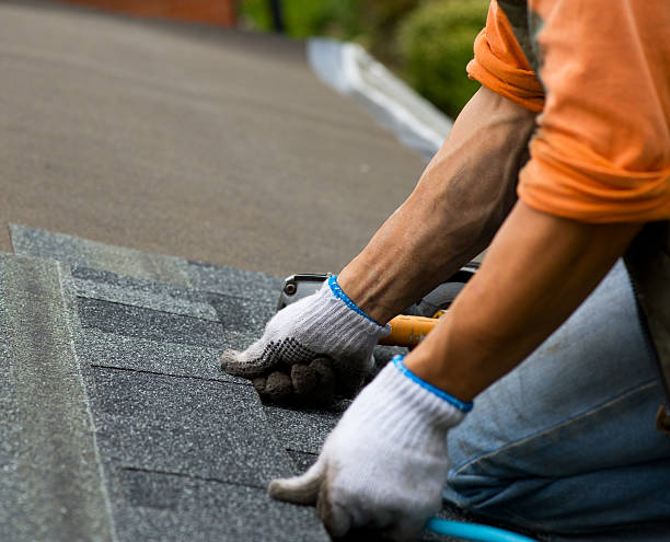 Best Roof Gutter Cleaning  in Garden City, MO